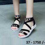 Available 37 Size (LA2284 - Copy)